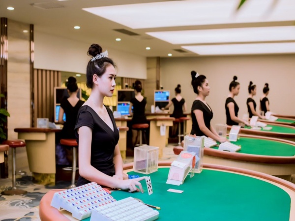 圣淘沙创始团队