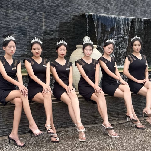 圣淘沙团队